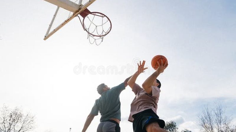 TBS喷播施工：五大注意事项，助您打造完美绿化景观