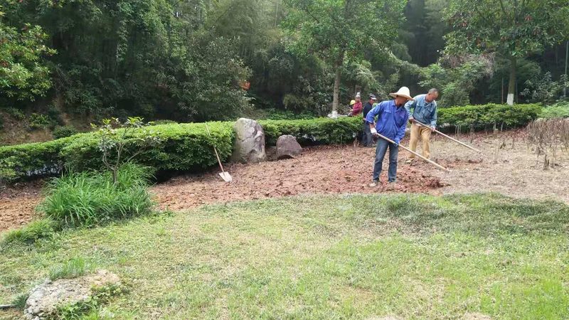 室内小景：假山喷泉的巧思与价格解析**