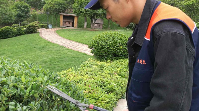 屋顶绿化草坪十大品牌推荐
