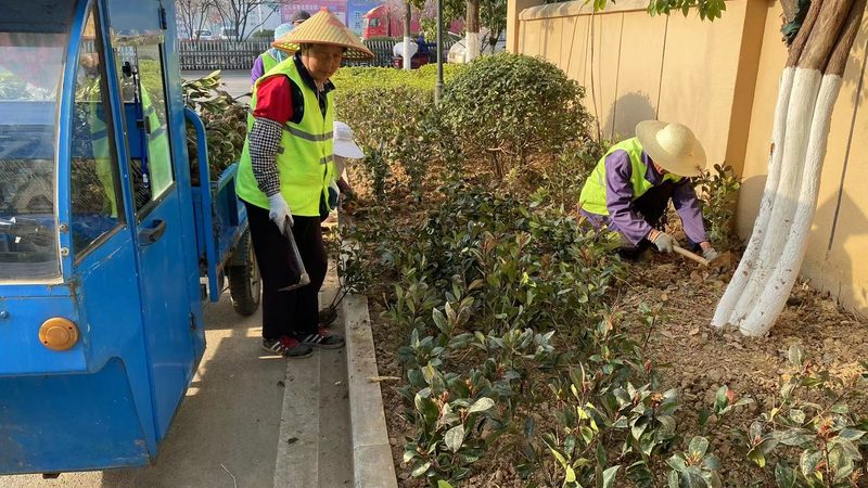 成都屋顶绿化施工标准规范全解析