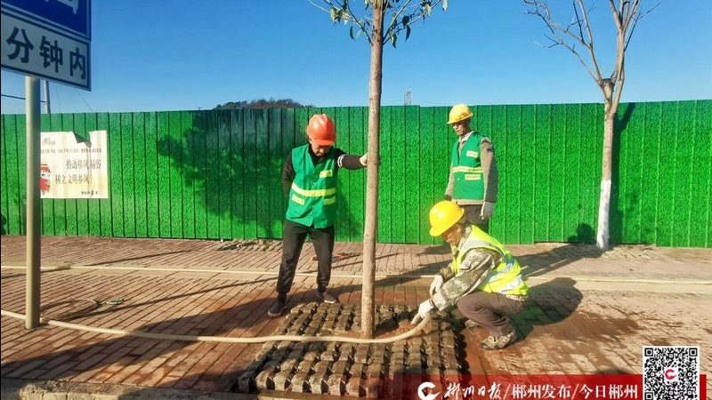 室内垂直绿化墙尺寸设计要点解析**