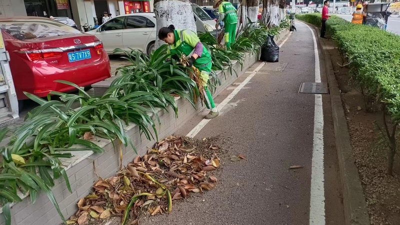 四川立体绿化：如何选择专业公司？**