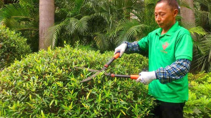 高尔夫球场绿化养护设备：如何科学选择与维护**