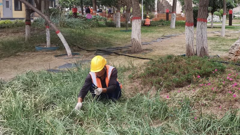 工厂绿化养护报价对比：揭秘影响因素与选择策略**